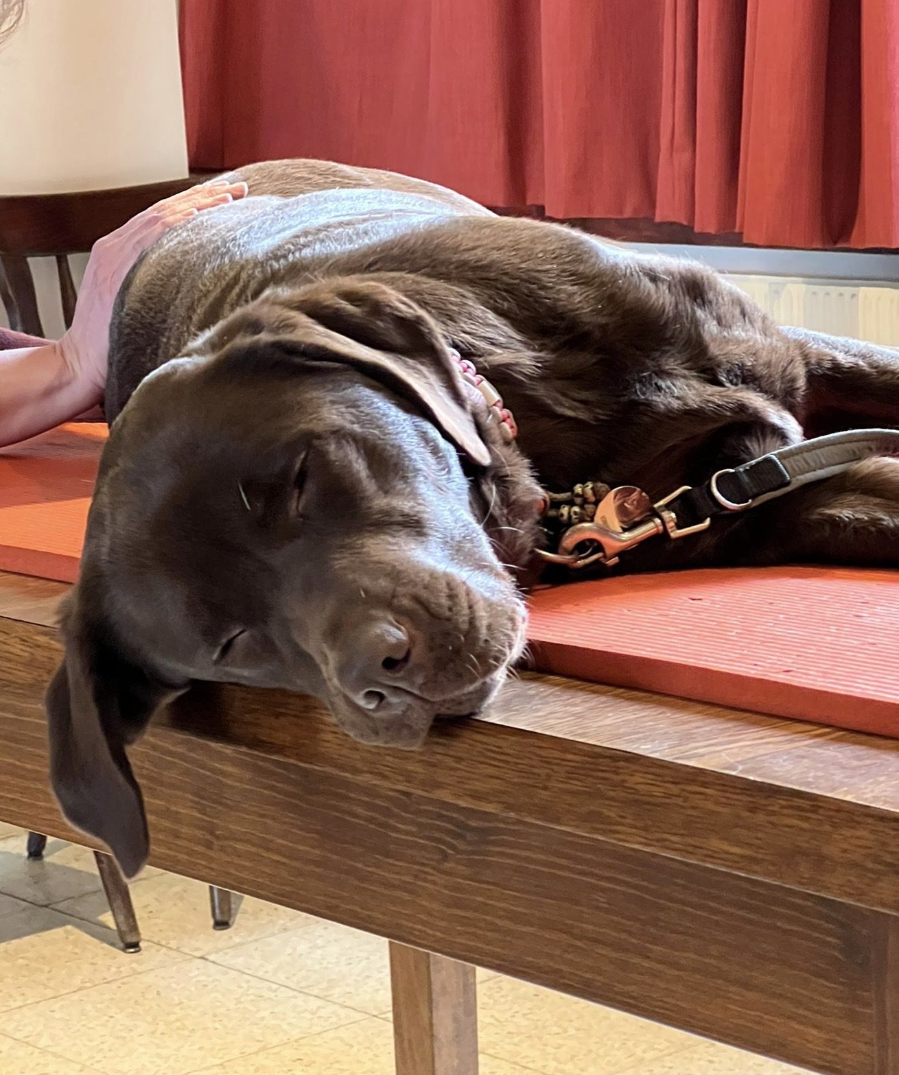 7391b978-3a45-4323-9f52-3b34fdbab9c3